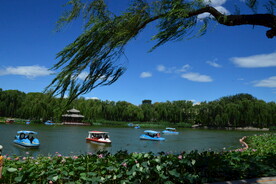 公园风景 