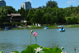 公园风景