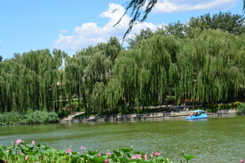 公园风景 