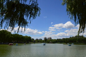 公园风景 