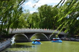 公园风景 