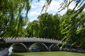 公园风景 