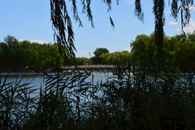 公园风景 