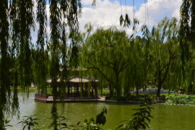 公园风景 