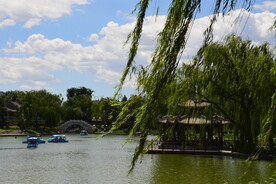 公园风景 