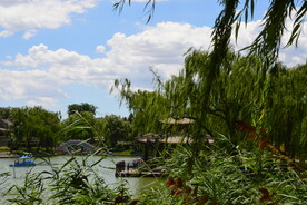 公园风景 