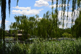 公园风景