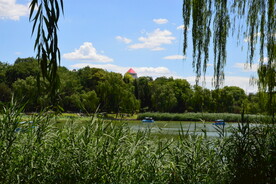 公园风景 