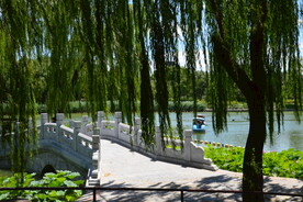 公园风景