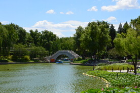 公园风景 