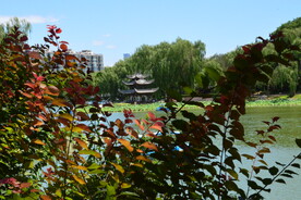 公园风景