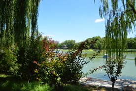 公园风景