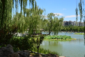 公园风景 