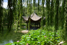 公园风景 