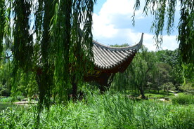 公园风景 