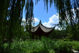 公园风景 