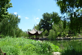 公园风景  