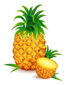 矢量菠萝