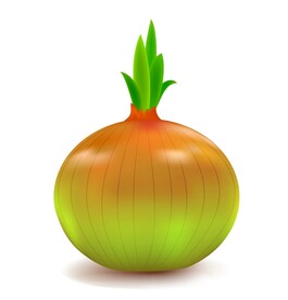 矢量洋葱