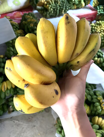 香蕉