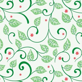 藤蔓植物插画