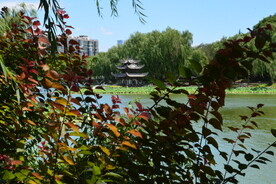 公园风景