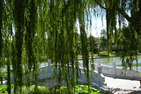 公园风景