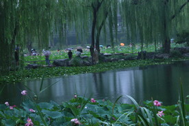 公园风景 