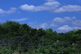 公园风景