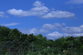 公园风景 