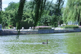 公园风景   