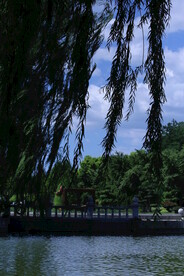 公园风景  