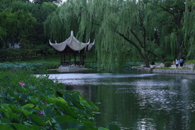 公园风景  