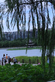 公园风景