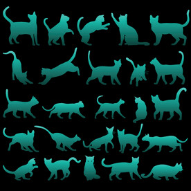 猫剪影