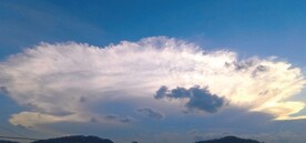 风景