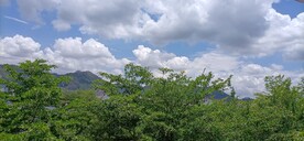 风景