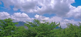 风景