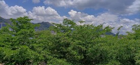 风景