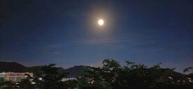 风景