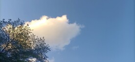 风景