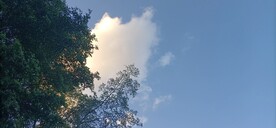风景