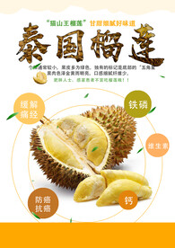 榴莲海报