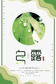 白露 二十四节气