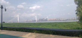 风景