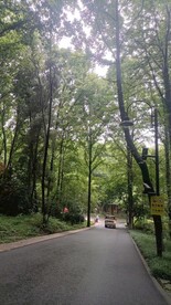 风景