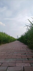 风景