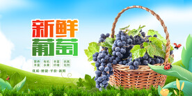 新鲜葡萄