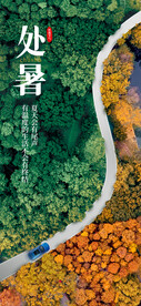 处暑海报