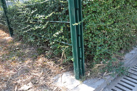 绿化带镀锌护栏细节